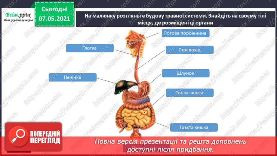 №058 - Як перетравлюється їжа8 №058 - Як перетравлюється їжа8