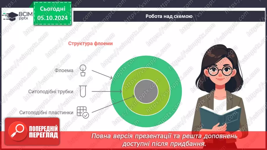 №20 - Вищі рослини багатоклітинні організми з тканинами та органами.18