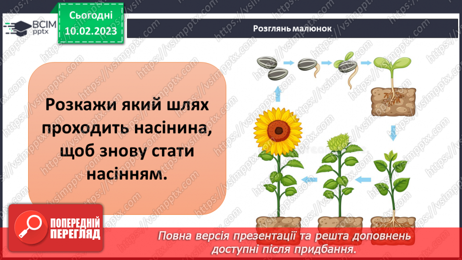 №45 - Пристосування до життя та різноманітність рослин. Секрети насінини.40