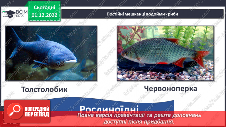 №048 - Мешканці океанів та прісних водойм.25