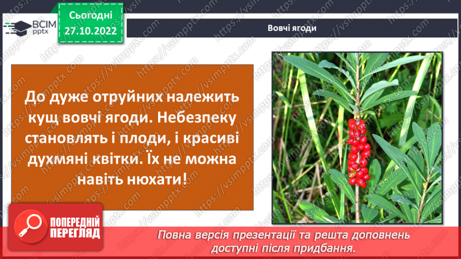 №033 - Будова рослин. Лікарські та отруйні рослини.26 №033 - Будова рослин. Лікарські та отруйні рослини.26