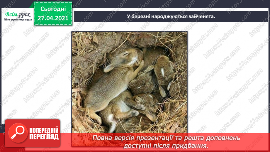 №088-89 - Які турботи приносить весна звірам?13