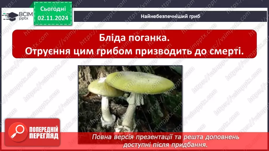 №0033 - Чи всі гриби їстівні18 №0033 - Чи всі гриби їстівні18