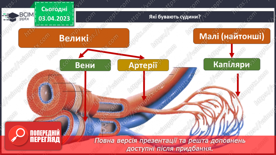 №59 - Узагальнення розділу «Пізнаємо організм людини в середовищі його існування». Самооцінювання навчальних результатів теми.17