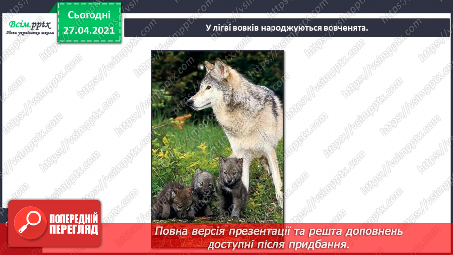 №088-89 - Які турботи приносить весна звірам?15