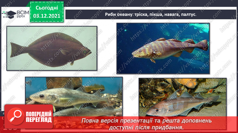 №045-47 - Океани Землі. Особливості природи океанів.24 №045-47 - Океани Землі. Особливості природи океанів.24