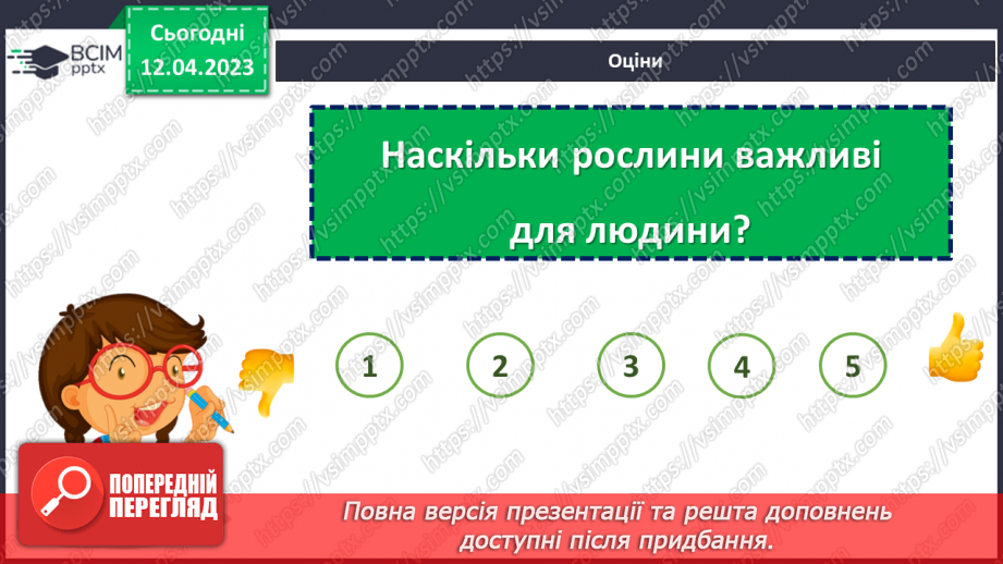 №0095 - Рослини влітку32