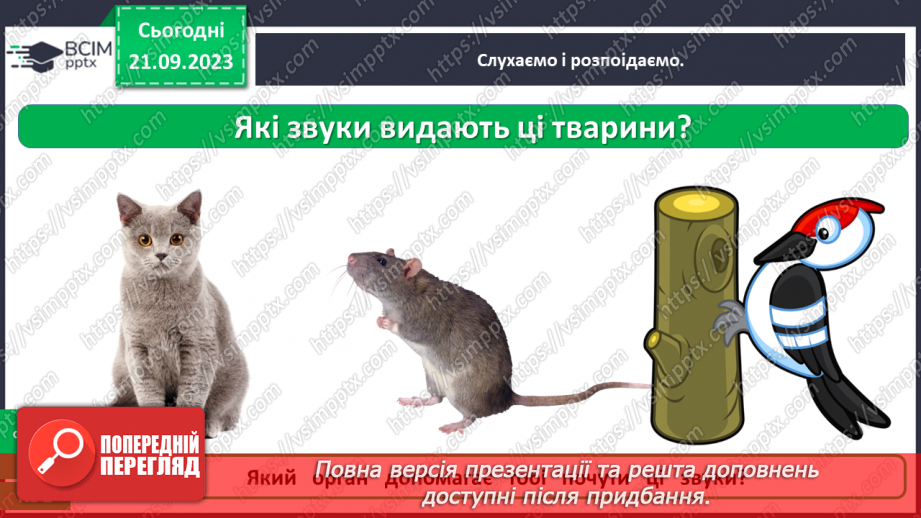 №013 - Чи можна все чути за допомогою вух13 №013 - Чи можна все чути за допомогою вух13