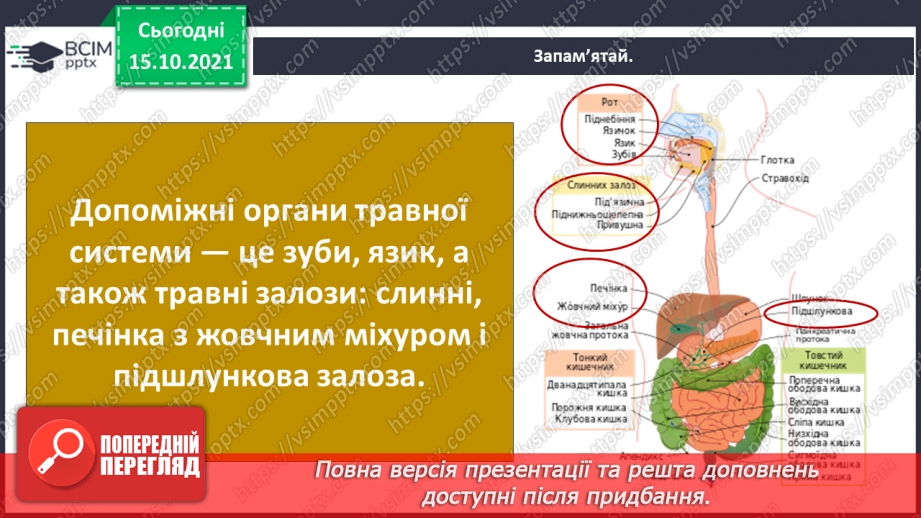 №027 - Аналіз діагностувальної роботи. Робота над виправленням та попередженням помилок. Для чого людині слина?24 №027 - Аналіз діагностувальної роботи. Робота над виправленням та попередженням помилок. Для чого людині слина?24
