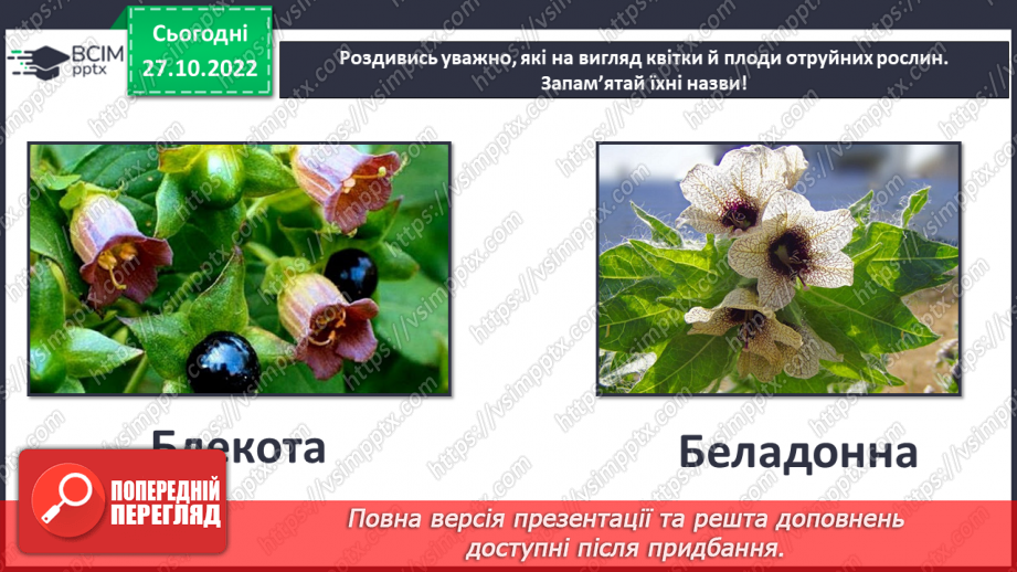 №033 - Будова рослин. Лікарські та отруйні рослини.27 №033 - Будова рослин. Лікарські та отруйні рослини.27