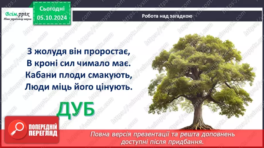 №07 - Аплікація з паперу. Проєктна робота «Аплікація рослин, які ростуть на шкільному подвір’ї».13