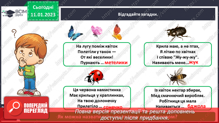 №0055 - Комахи3 №0055 - Комахи3