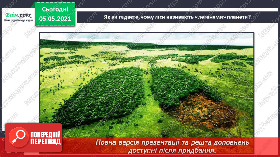 №031 - Організми, які тебе оточують.28