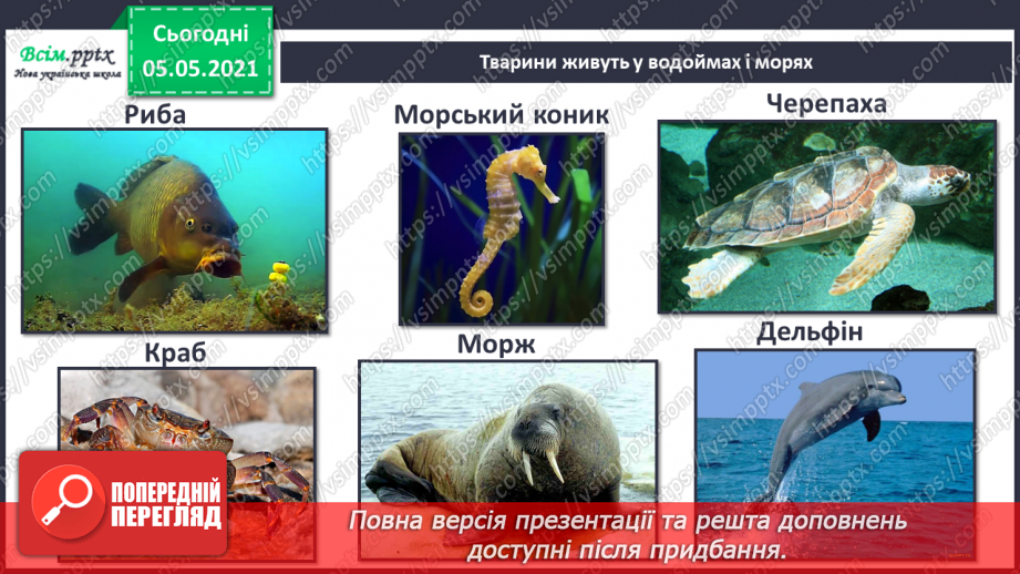 №039 - Звірі.8 №039 - Звірі.8