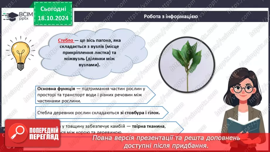№25 - Вегетативні органи вищих рослин.12 №25 - Вегетативні органи вищих рослин.12