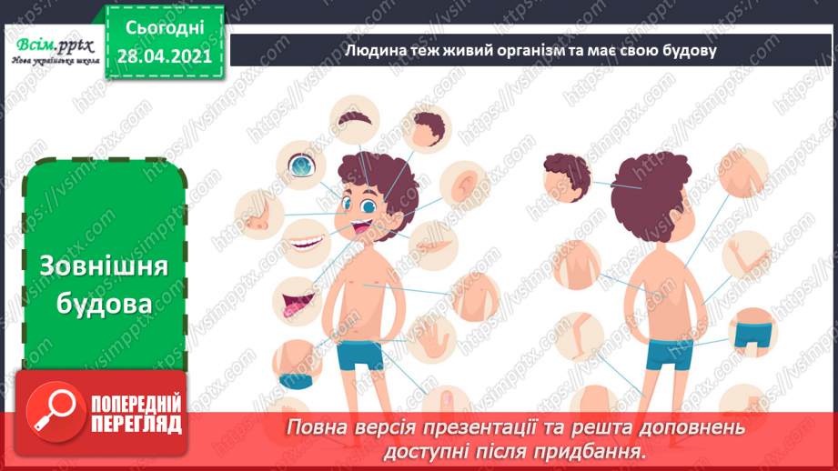 №17-18 - Виготовлення лепбука «Моє тіло».4