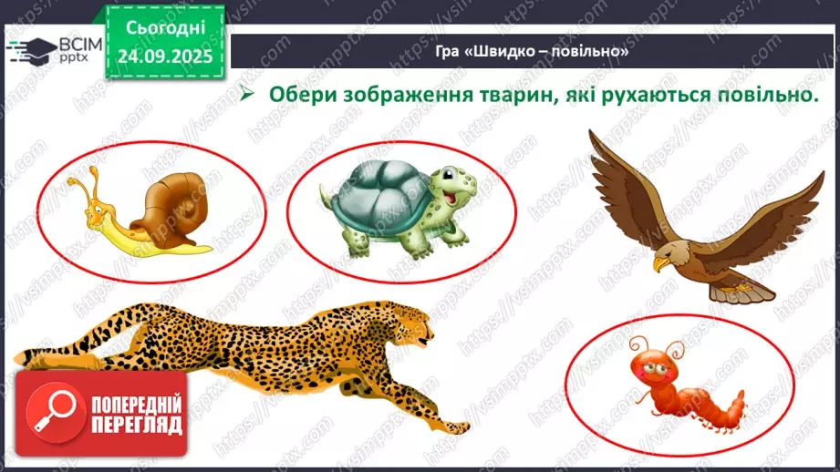 №024 - Час. Доба та її частини22 №024 - Час. Доба та її частини22