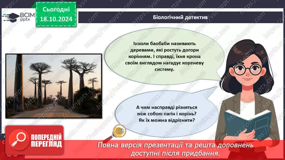 №25 - Вегетативні органи вищих рослин.3 №25 - Вегетативні органи вищих рослин.3