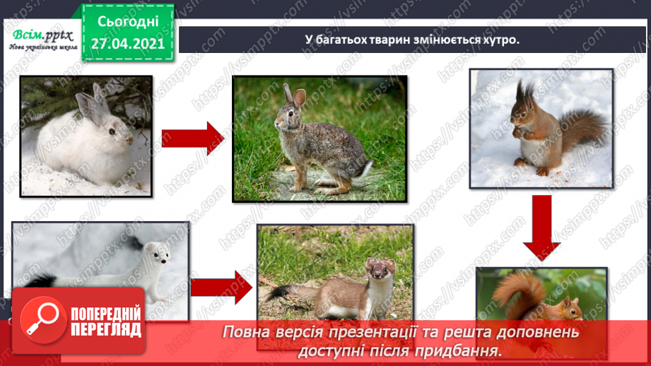 №088-89 - Які турботи приносить весна звірам?12