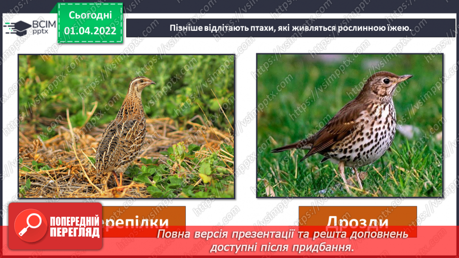 №084 - Як мандрують птахи?7 №084 - Як мандрують птахи?7