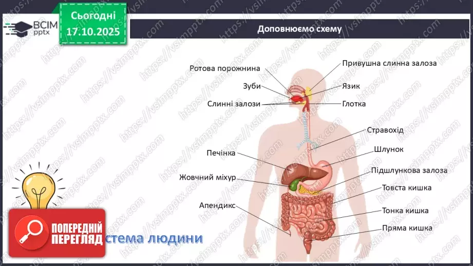 №027 - Узагальнення вивченого з теми: «Живлення як властивість живого. Будова й функції травної системи людини».21 №027 - Узагальнення вивченого з теми: «Живлення як властивість живого. Будова й функції травної системи людини».21
