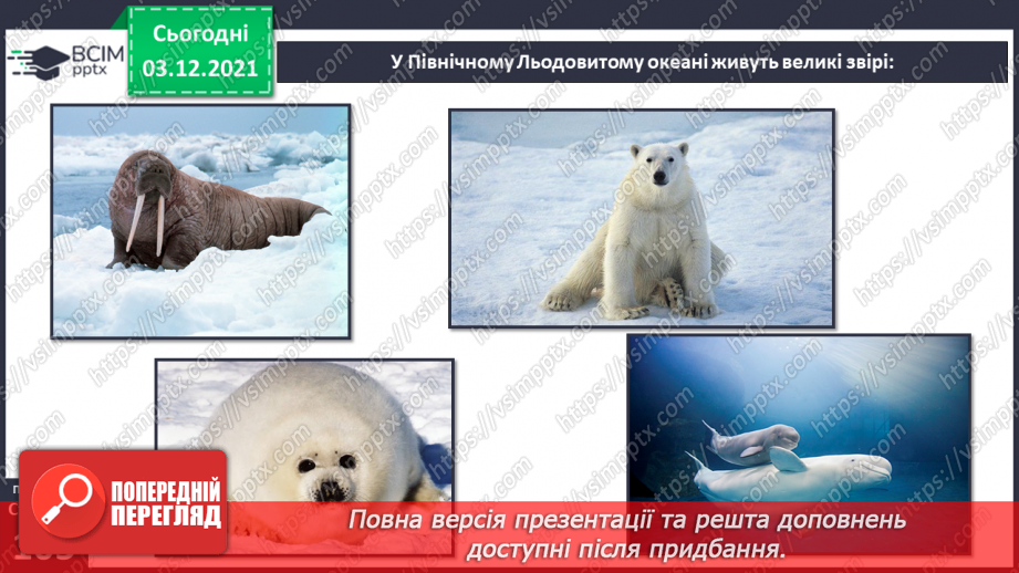 №045-47 - Океани Землі. Особливості природи океанів.26 №045-47 - Океани Землі. Особливості природи океанів.26