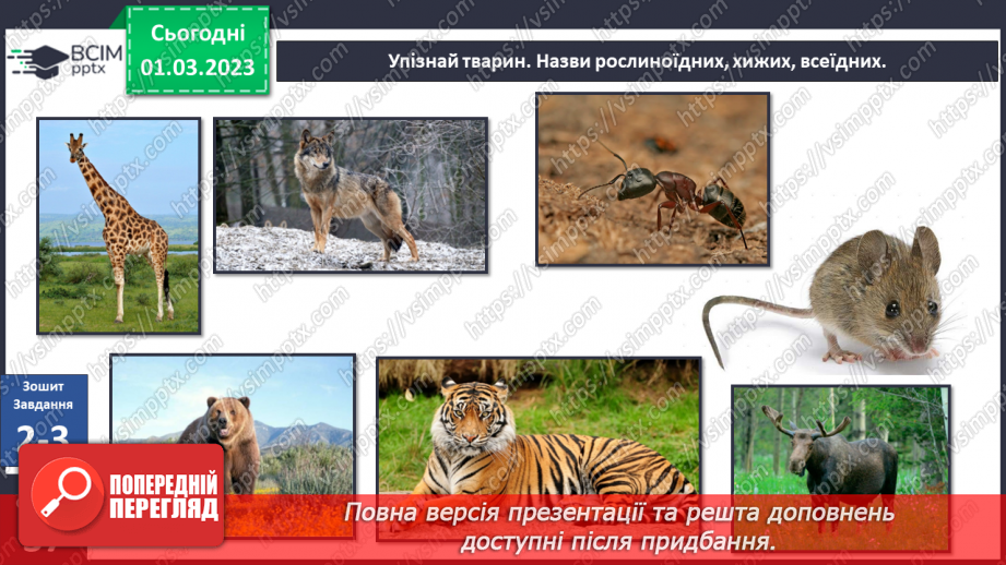 №076 - Хребетні та безхребетні тварини. Множини тварин.29