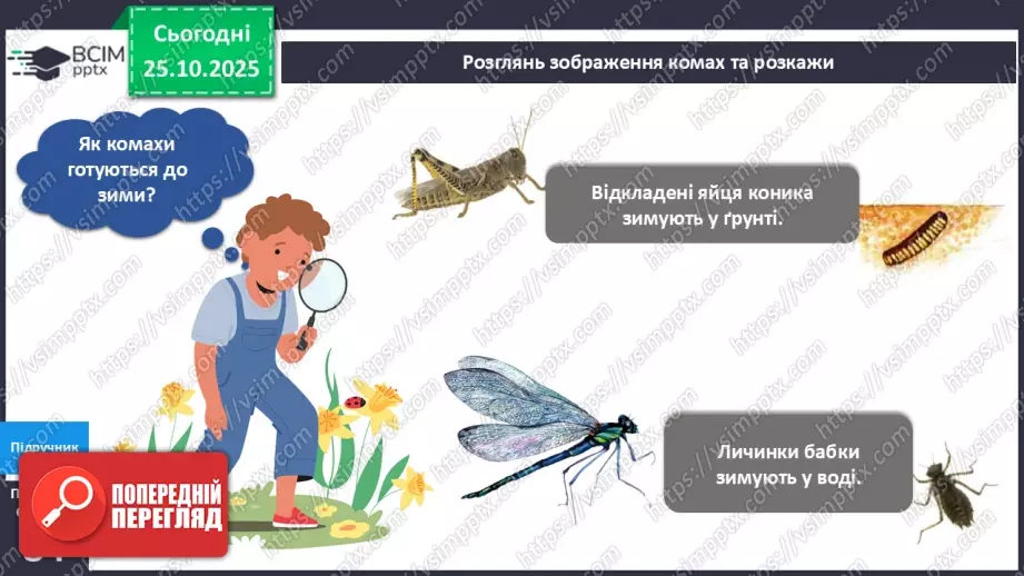 №028 - Комахи восени.10 №028 - Комахи восени.10