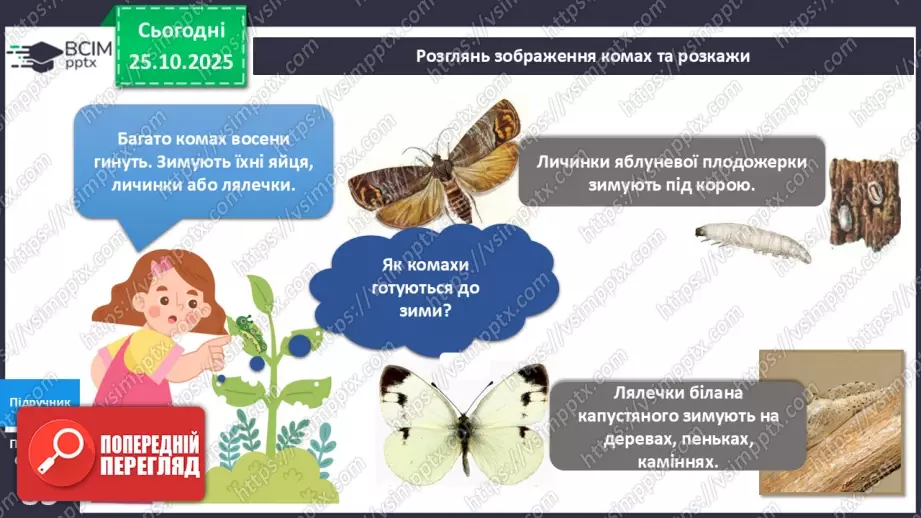 №028 - Комахи восени.9 №028 - Комахи восени.9