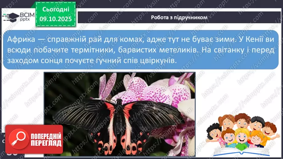 №024 - Комахи та звірі Кенії9 №024 - Комахи та звірі Кенії9