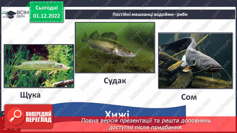№048 - Мешканці океанів та прісних водойм.27