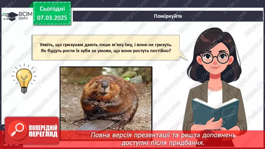 №68 - Різноманітність ссавців. Першозвірі. Сумчасті.  Комахоїдні. Рукокрилі. Гризуни.25