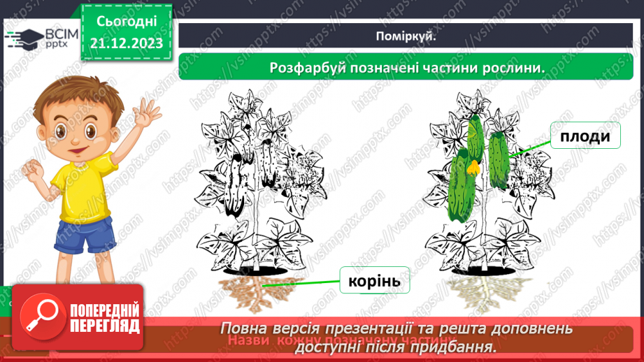 №050 - Яка будова рослин19 №050 - Яка будова рослин19