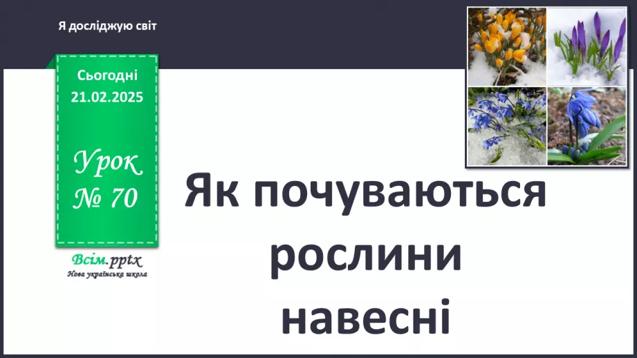 №0070 - Як почуваються рослини навесні0 №0070 - Як почуваються рослини навесні0