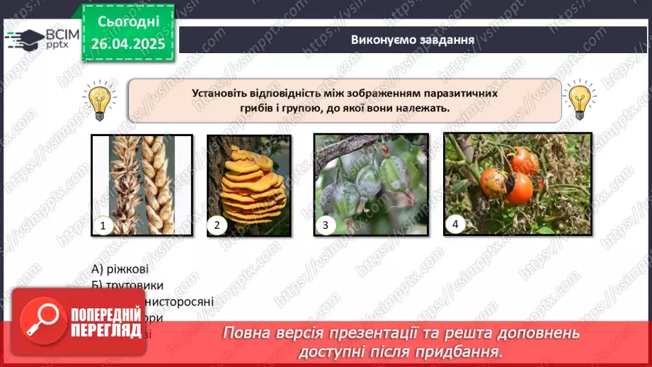 №80 - Узагальнювальні дослідницькі завдання.18 №80 - Узагальнювальні дослідницькі завдання.18