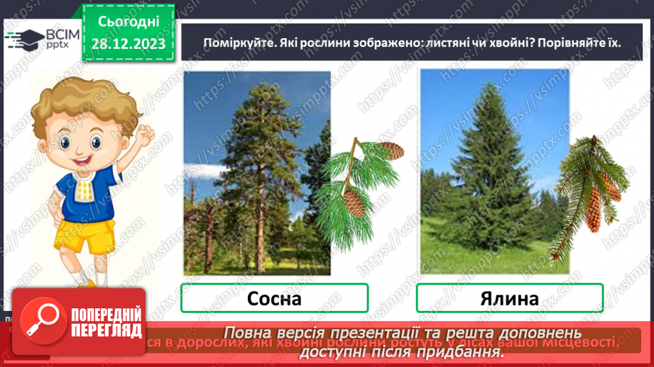 №052 - Які бувають рослини10 №052 - Які бувають рослини10
