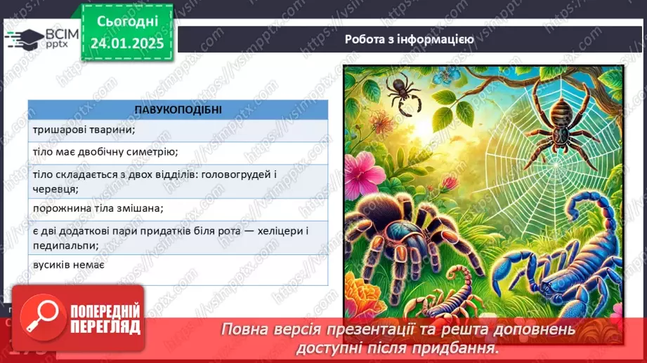 №55 - Павукоподібні.8 №55 - Павукоподібні.8