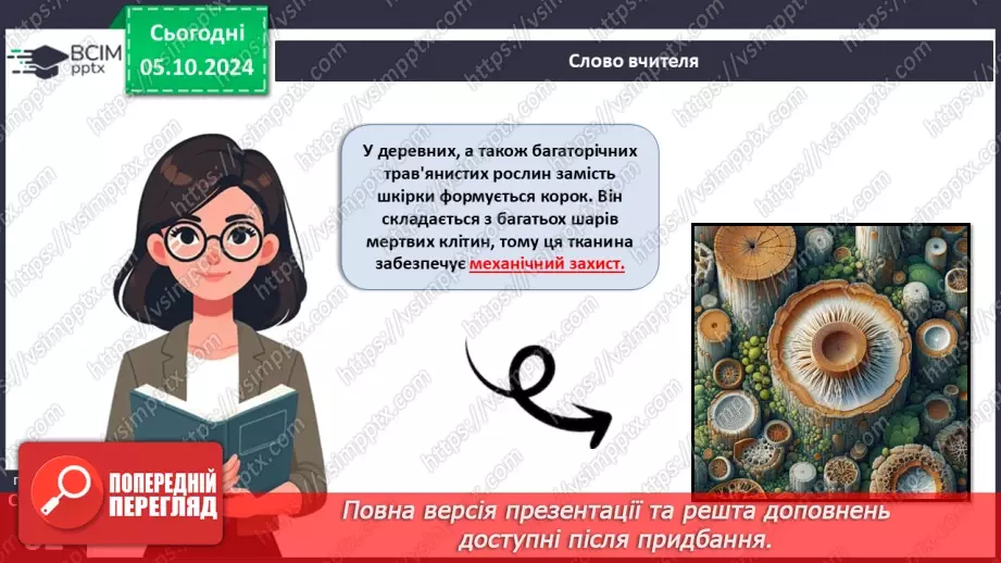 №20 - Вищі рослини багатоклітинні організми з тканинами та органами.12