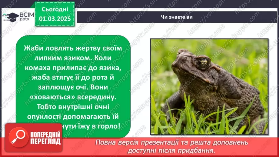 №0073 - Як змінюється життя у водоймах навесні25 №0073 - Як змінюється життя у водоймах навесні25