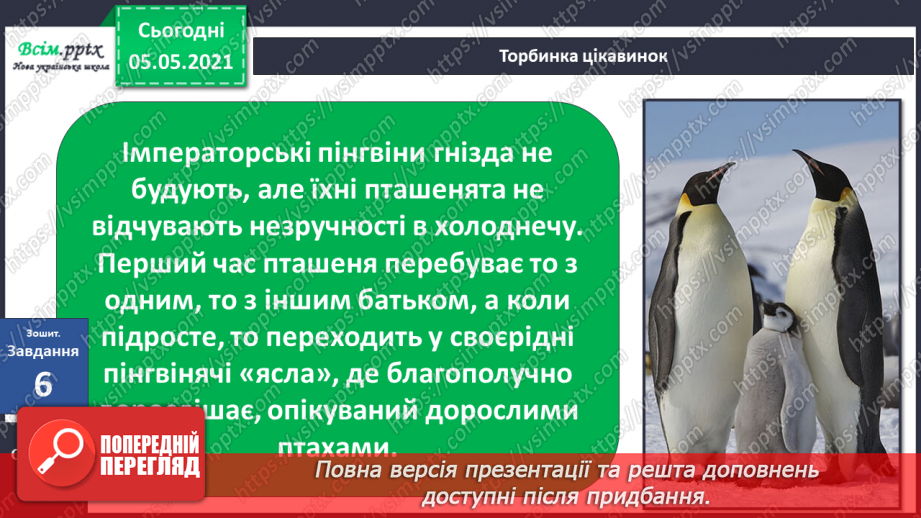 №040 - Птахи.24 №040 - Птахи.24