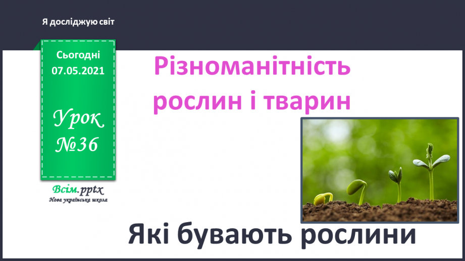 №036 - Які бувають рослини0 №036 - Які бувають рослини0