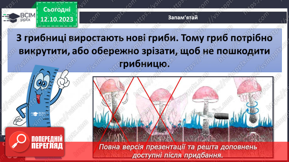 №024 - Осінь - грибна пора9 №024 - Осінь - грибна пора9