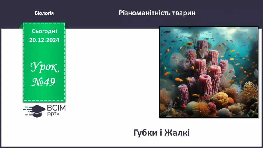 №49 - Губки і Жалкі.0 №49 - Губки і Жалкі.0