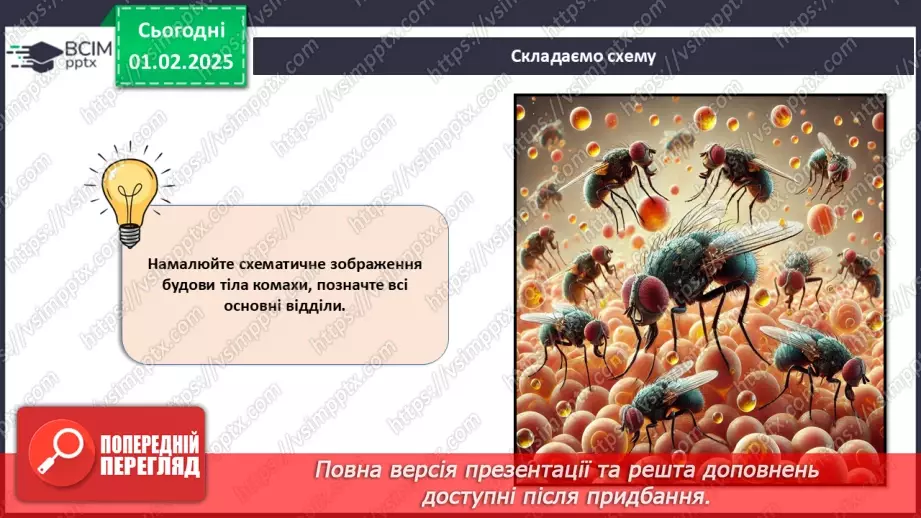 №57 - Комахи (продовження).9 №57 - Комахи (продовження).9