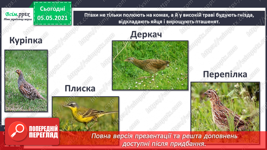 №096 - Ясніє в кожній квітці дивина.15 №096 - Ясніє в кожній квітці дивина.15