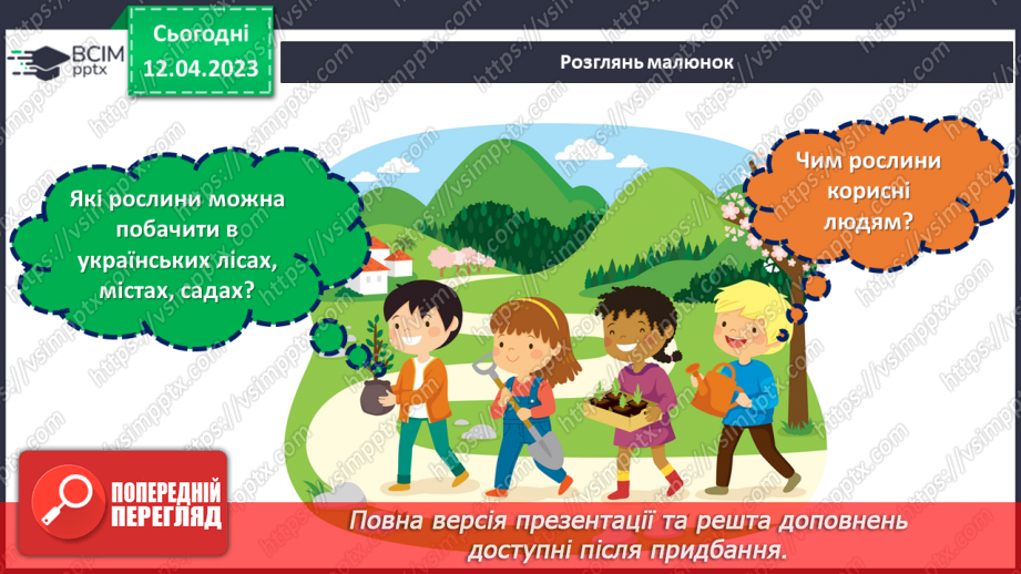№0095 - Рослини влітку10