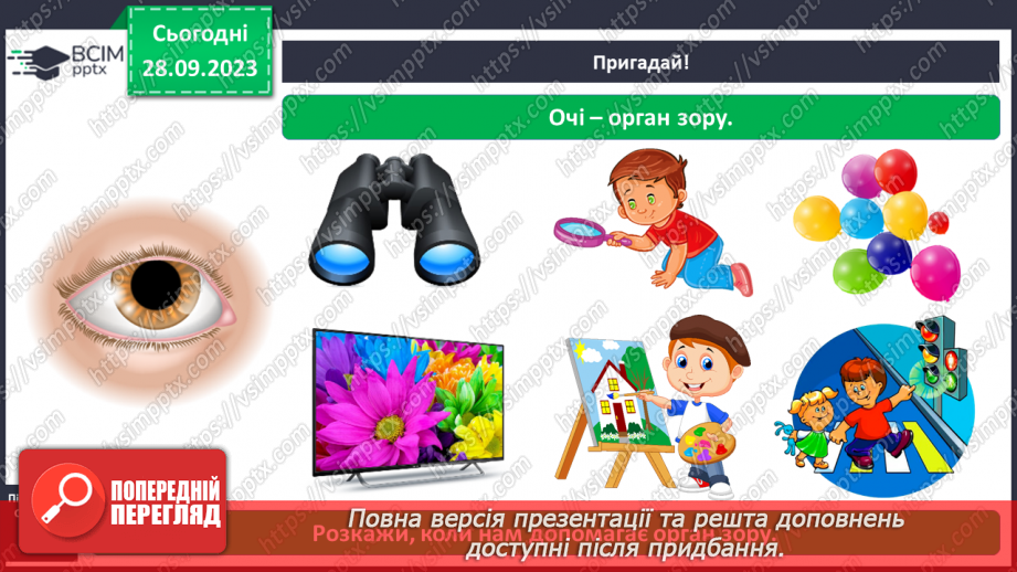 №017 - Органи чуття. Узагальнення7