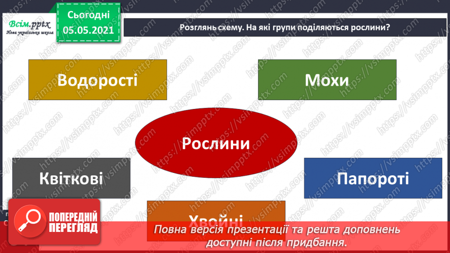 №031 - Організми, які тебе оточують.17