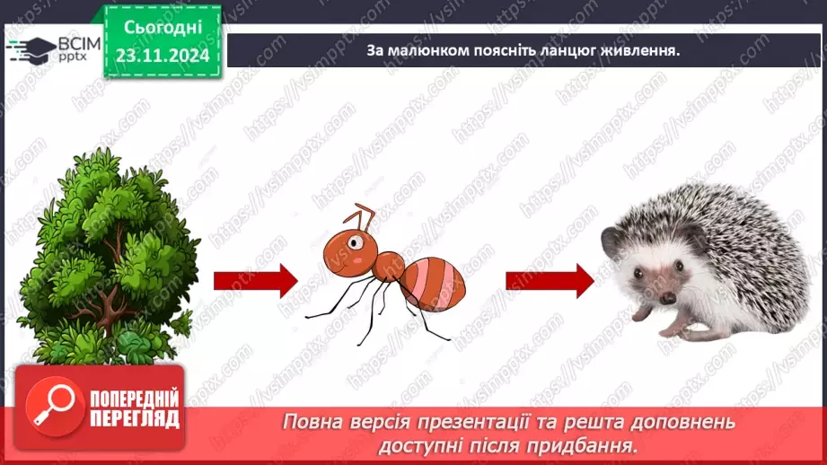 №0038 - Які невидимі ланцюги є в осінньому лісі15 №0038 - Які невидимі ланцюги є в осінньому лісі15
