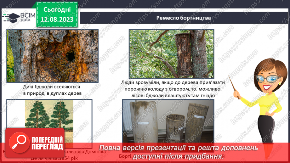 №42 - Ліс як джерело їжі (гриби, ягоди, мед тощо).17